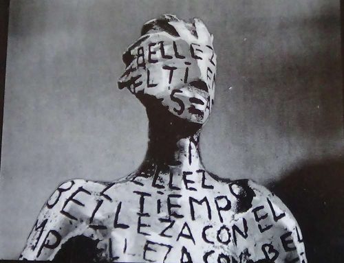 Marcela Paz González